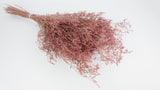 Limonium essiccato - 1 mazzo XL - rosa vintage
