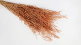 Munni - 1 bunch - Terracotta
