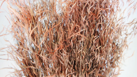 Munni - 1 bunch - Terracotta