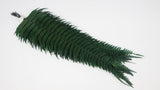 Felce selvatica stabilizzata - 10 steli - Verde