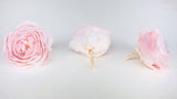 Englische Rosen konserviert Elena Earth Matters - 6 Köpfe - Chiffon pink 100