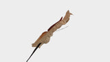 Anthurium conserva Earth Matters - 3 pezzi - Rosa champagne 131