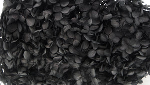 Ortensia stabilizzata Anna - 1 testa - Nero