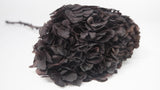 Ortensia stabilizzata Extra - 1 Testa - Nero
