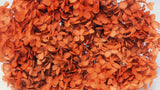 Ortensia stabilizzata Anna - 1 testa - Terracotta