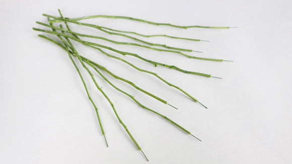 Steli di fiori conservati Earth Matters - 10 steli - Verde