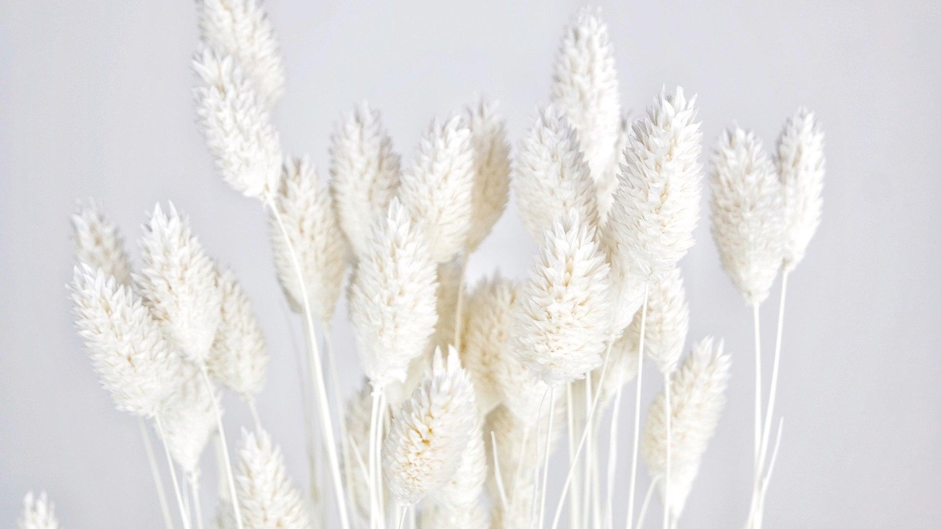 Mazzo Fiori Secchi Rayher - Nero, 18-20 Cm Per Decorazione - Foto 4