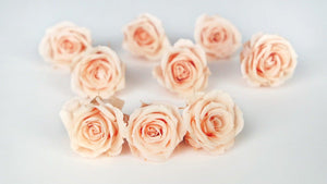 Rosen konserviert Izumi Earth Matters - 9 Köpfe - Creamy peach 371 - Si-nature