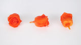 Stabilisierte Rosen Kiara 2 cm - 12 Stück - Orange flame - Si-nature