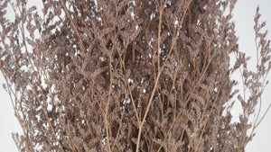 Stabilisiertes Limonium - 1 Bund - Blush - Si-nature