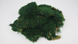 Rag Moss Conservato - 500 g - Verde scuro
