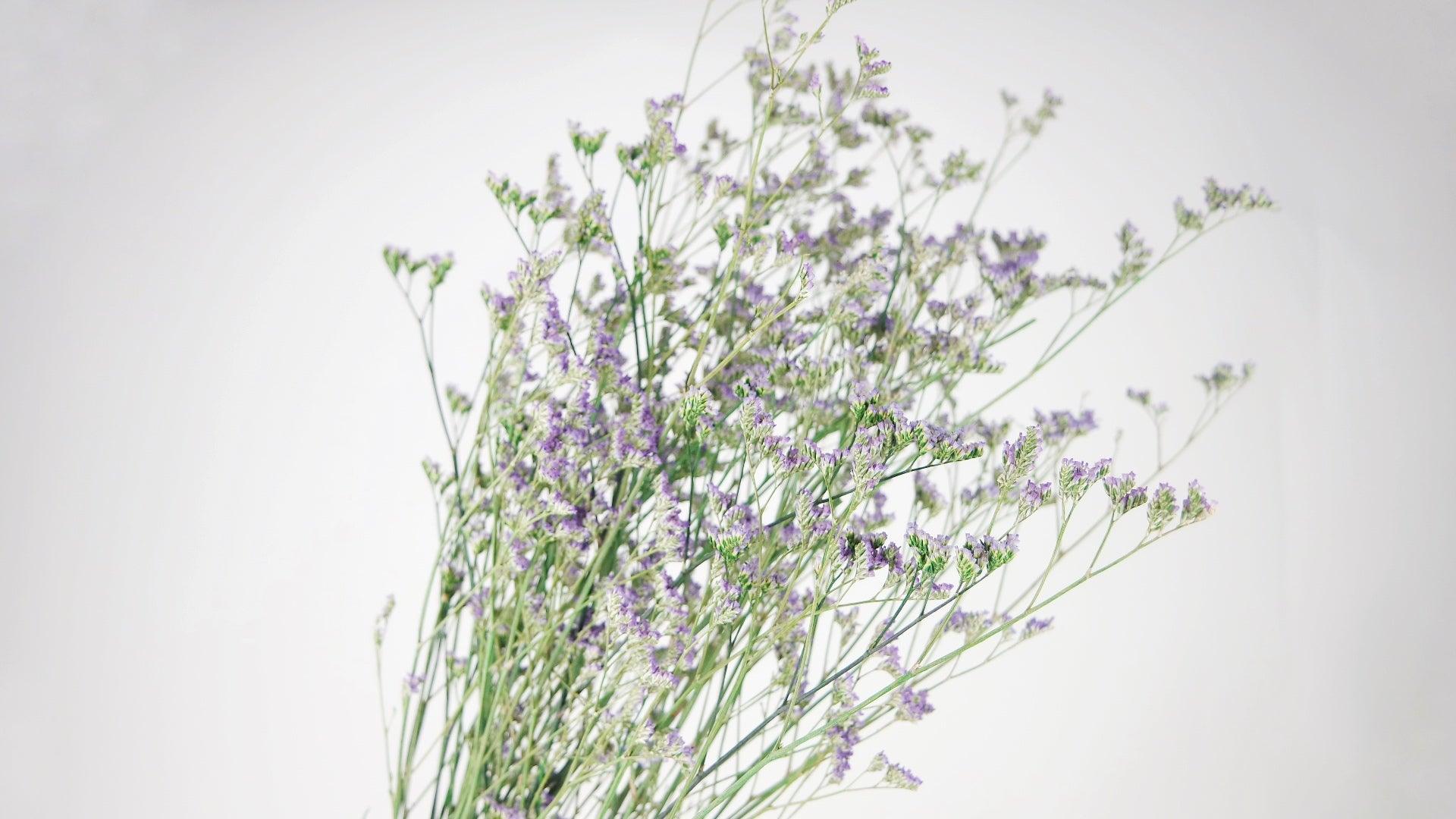 Limonium getrocknet - 1 Bund - Naturfarbe lila - Si-nature