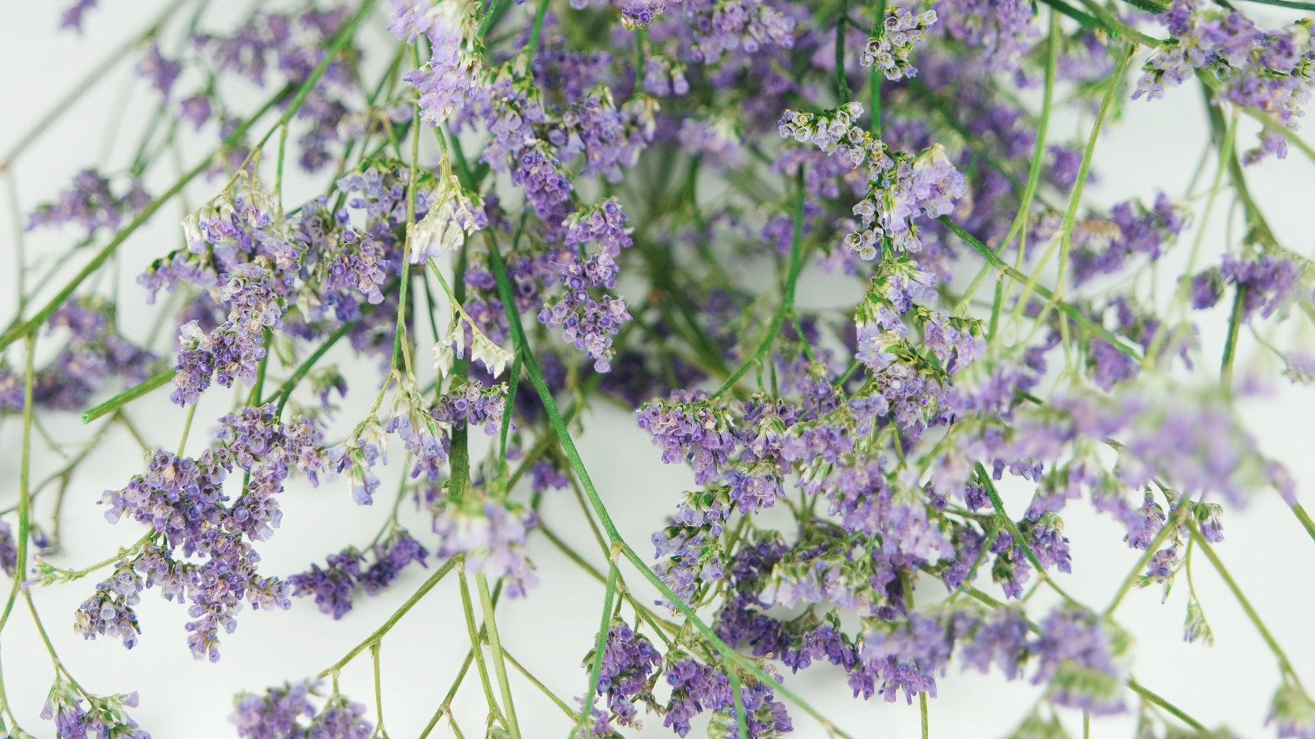 Limonium getrocknet - 1 Bund - Naturfarbe lila - Si-nature